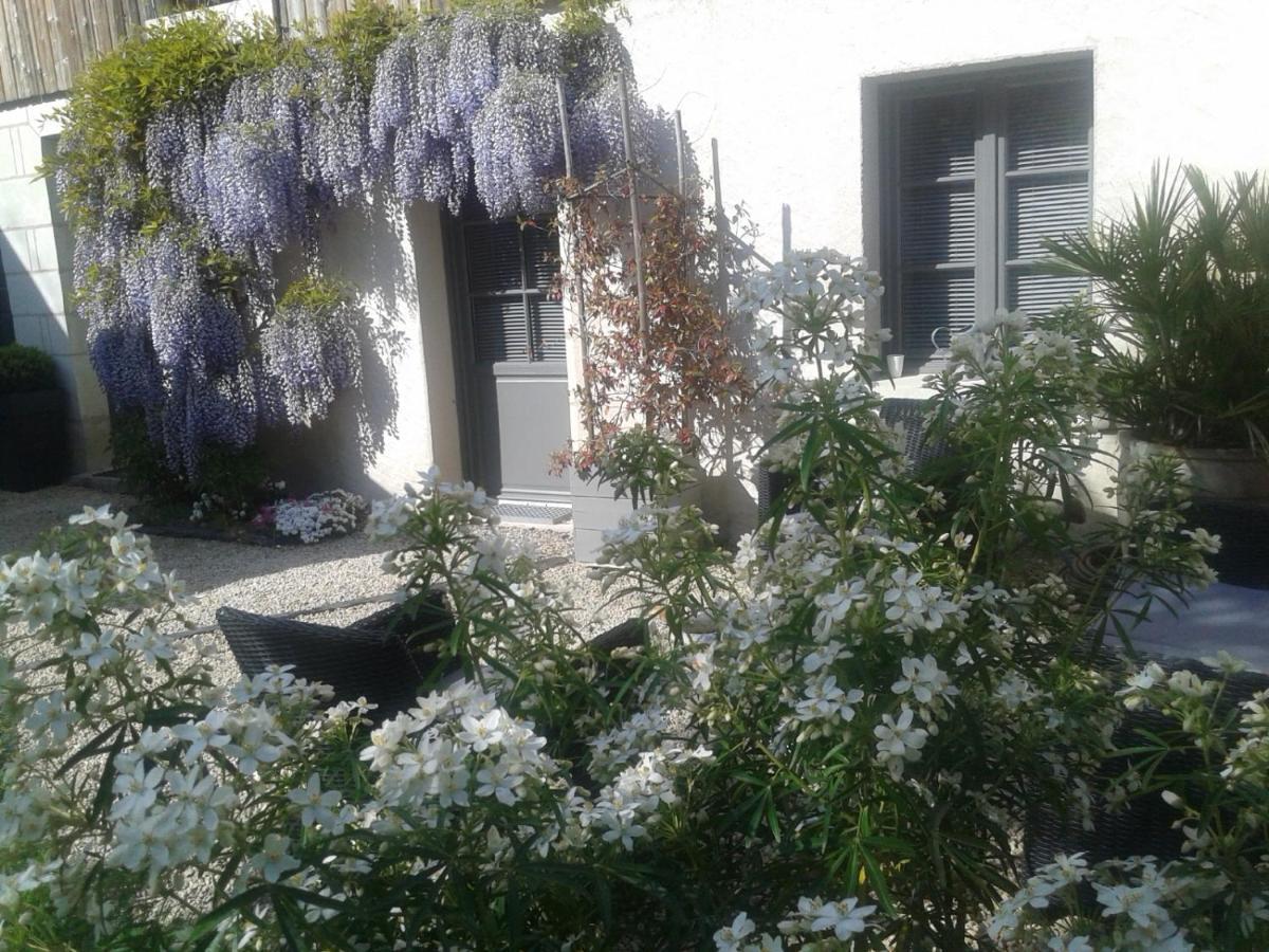 Chambres D'Hotes Rue Du Poids Bourgueil Kültér fotó