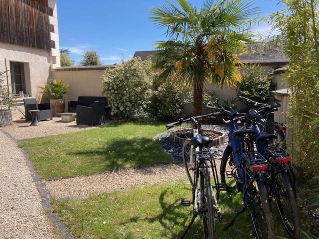 Chambres D'Hotes Rue Du Poids Bourgueil Kültér fotó